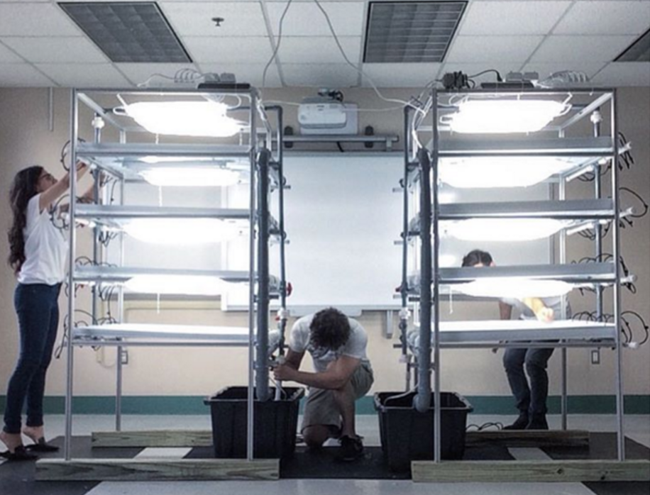 The first +Farm we designed and built in 2014 for Phillips Program, a special-needs school in Washington DC. We also developed the accompanying STEM curriculum.