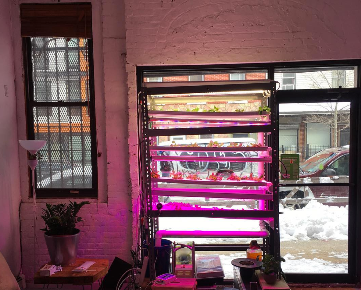 Built by Agtech-X , an urban agriculture co-working space that opened in Brooklyn, 2017.