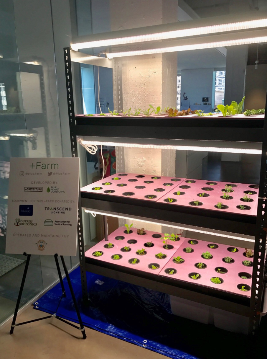 Los Angeles Agritecture Workshop 2017. After the workshop, the +Farm was donated to Edwin Markham Middle School and is currently being managed there by Community Healing Gardens.