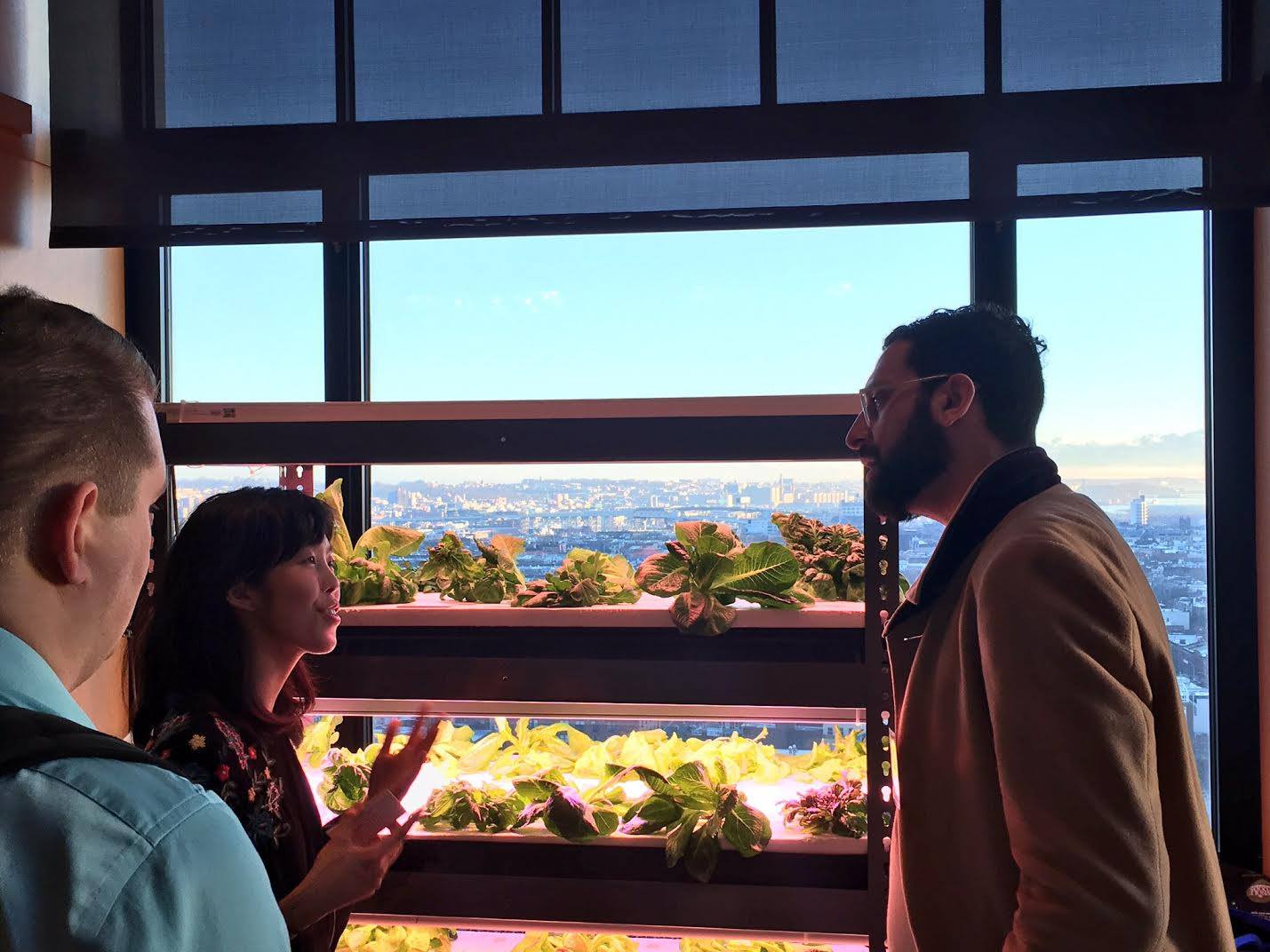 Brooklyn Law School 's "Growing Greens in the Grid: The Future of Urban Agriculture in NYC" event.