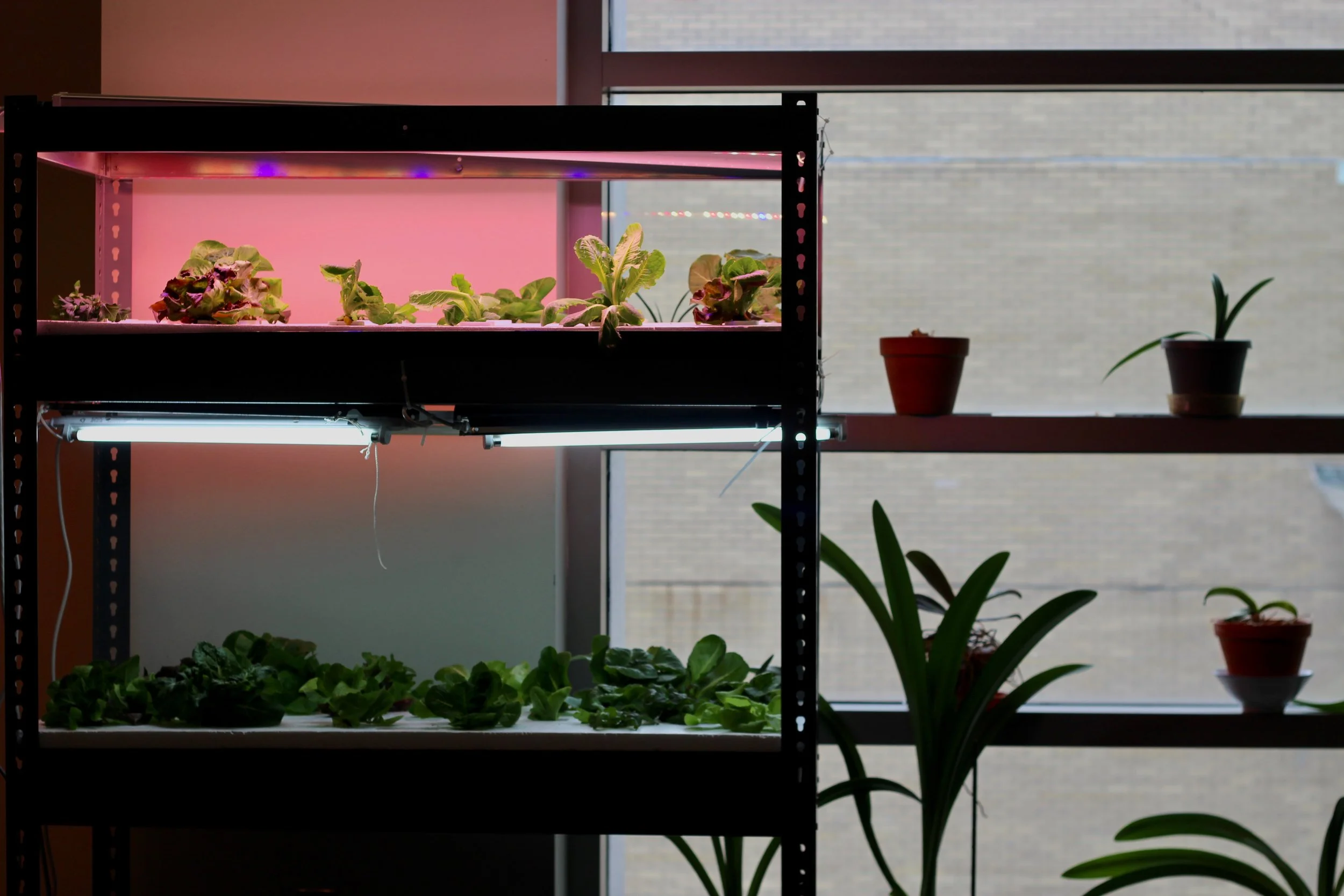 New York Botanical Garden and Fordham University 's "Food, Tech, & City" Colloquium