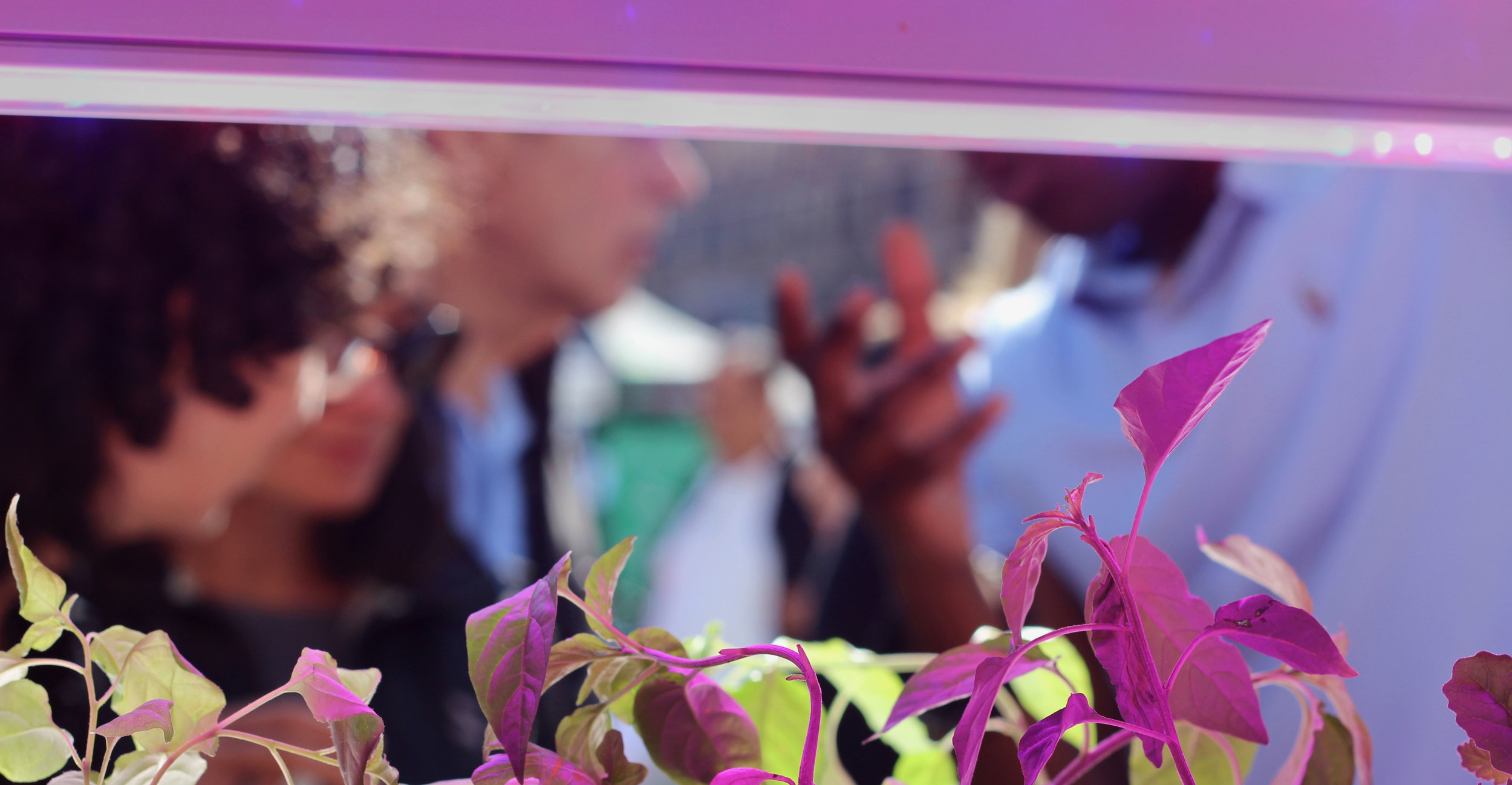 FullSizeRender edited.jpg