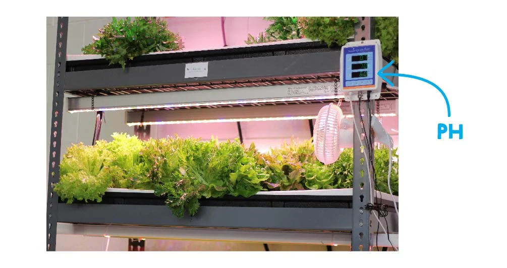 BPC_Grow_DWC-05.jpg