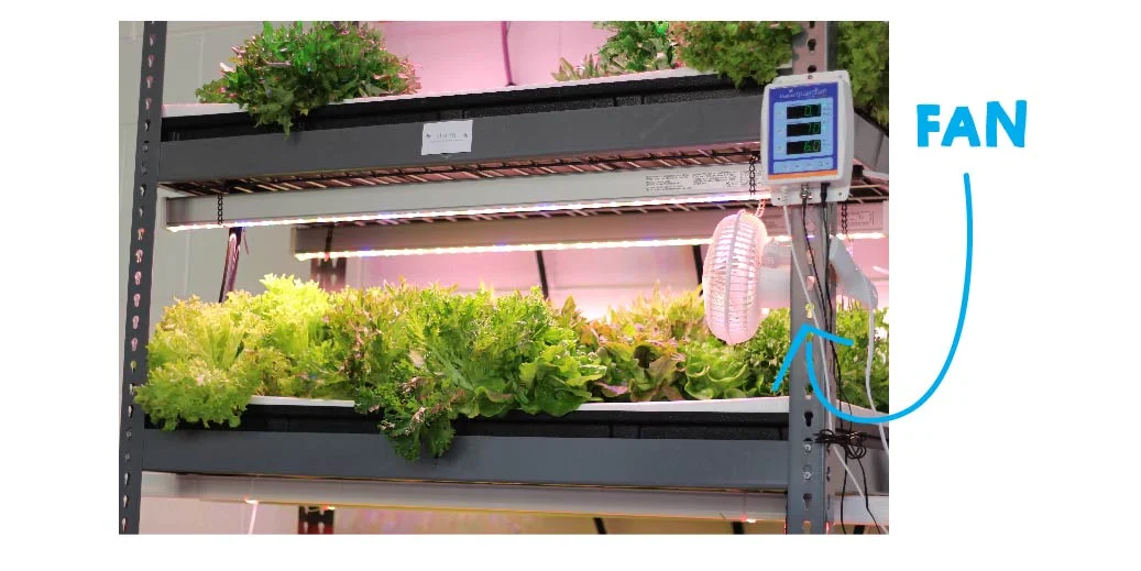 BPC_Grow_DWC-09.jpg