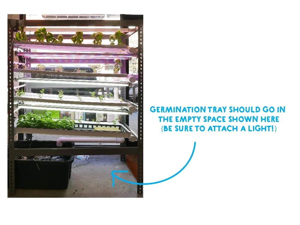 BPC_Grow_NFT-01.jpg