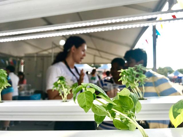 Sharing +Farm with all the makers out there. Featuring @agrivolution lights 💡#makerfaire