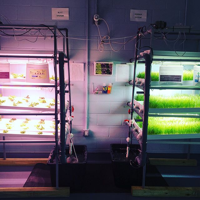 The very first +Farm installed at @growing.futures is alive and thriving!!! Read all about it on @agritecture blog www.agritecture.com/post