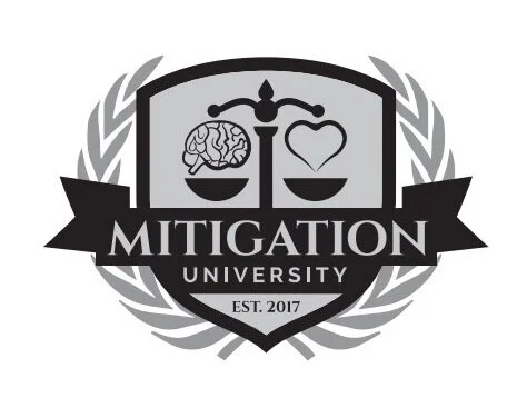Mitigation Business