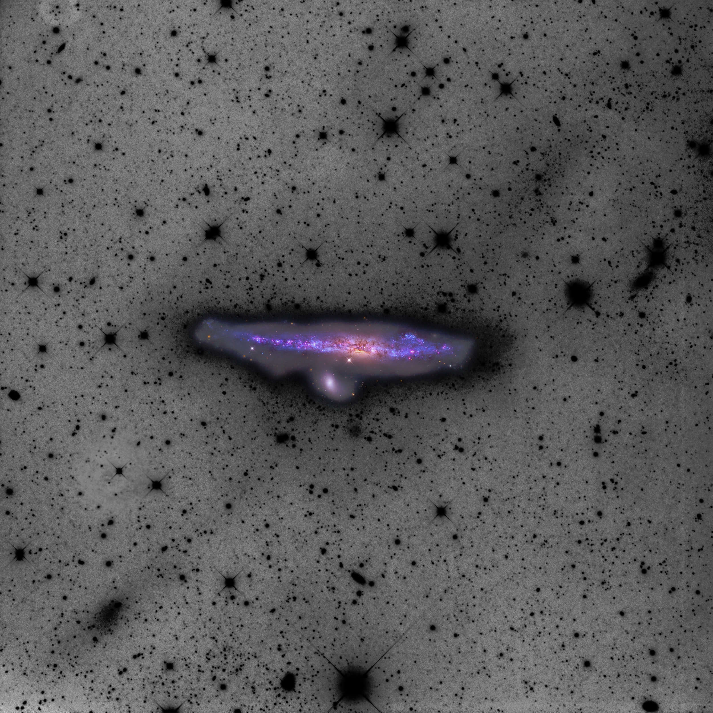 NGC4631Stream.jpg