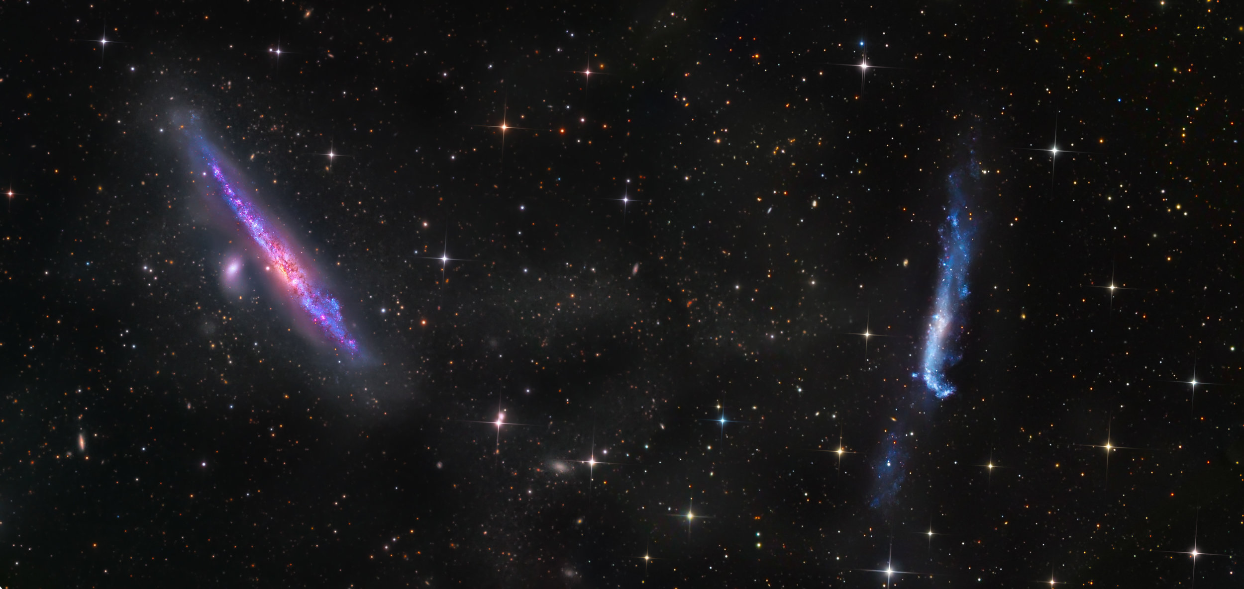 NGC 4656 & 4631 (DGRO- Rancho Hidalgo)