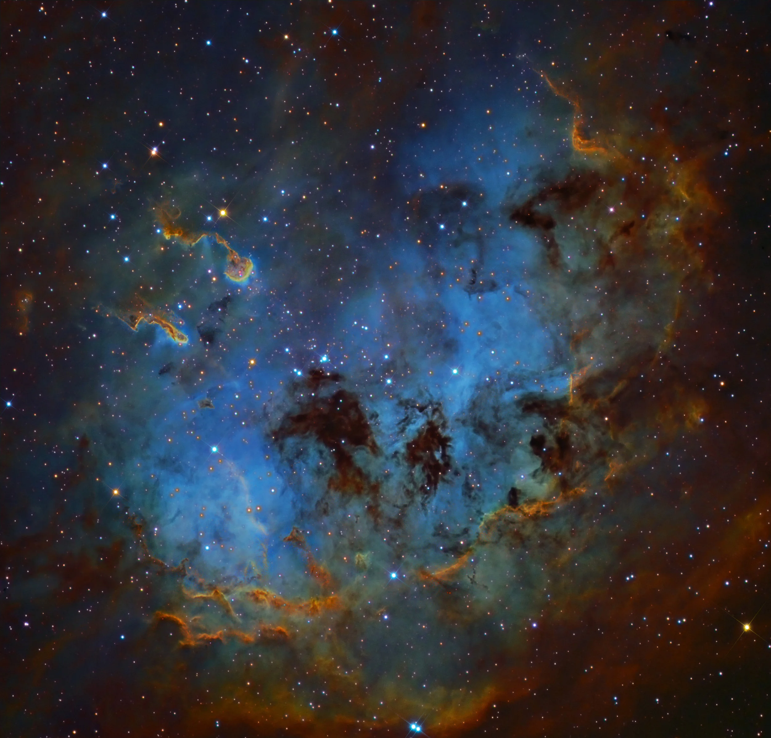 IC 410 The Tadpoles