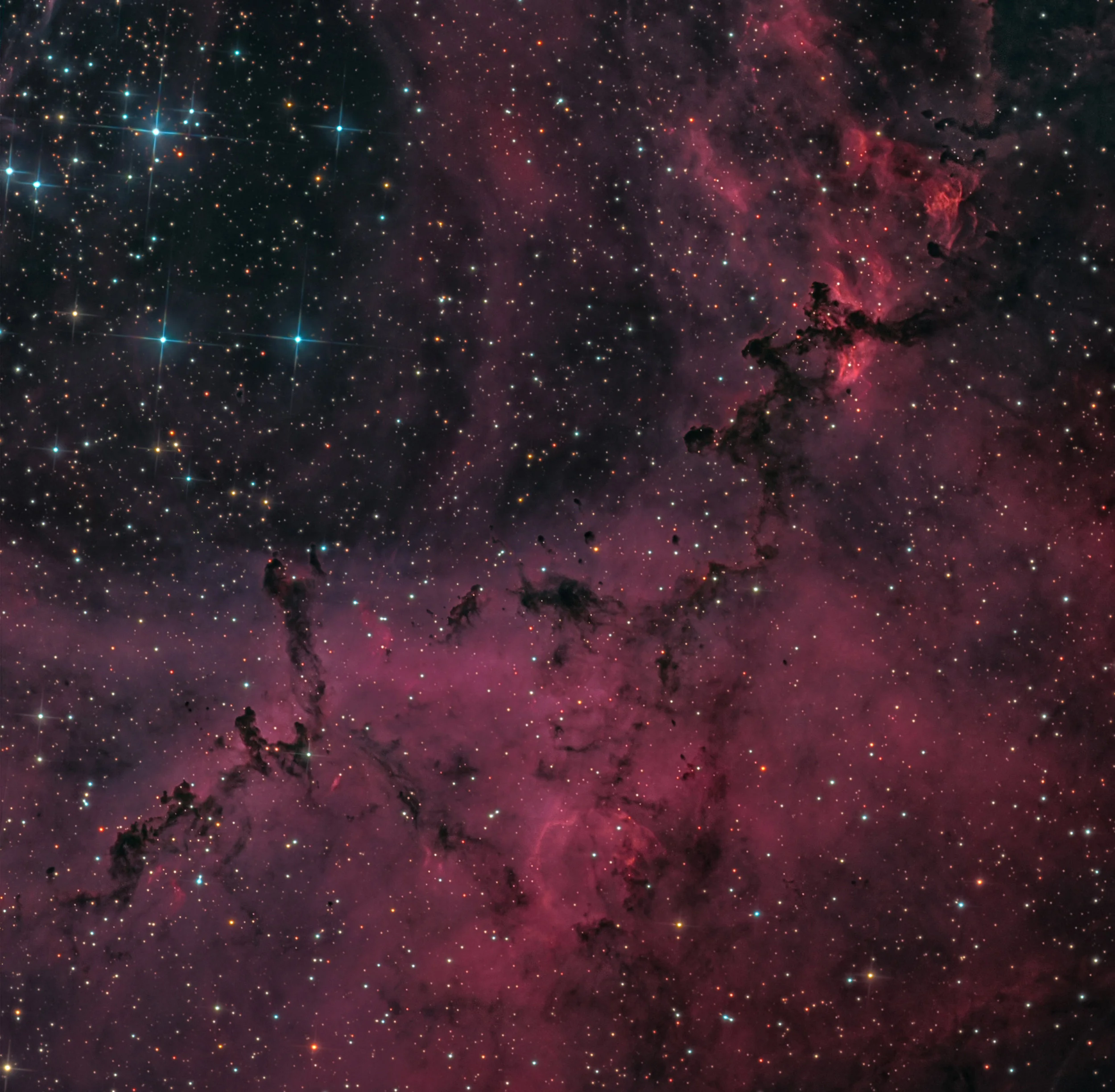 NGC 2237 Bok Globules in the Rosette Nebula