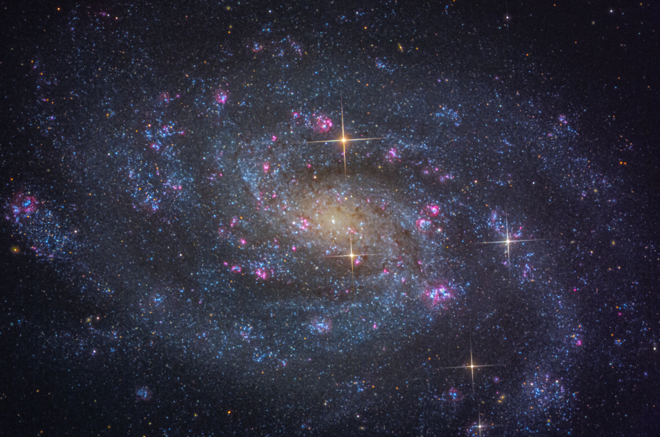 NGC 300 (SSRO Cito, Chile)