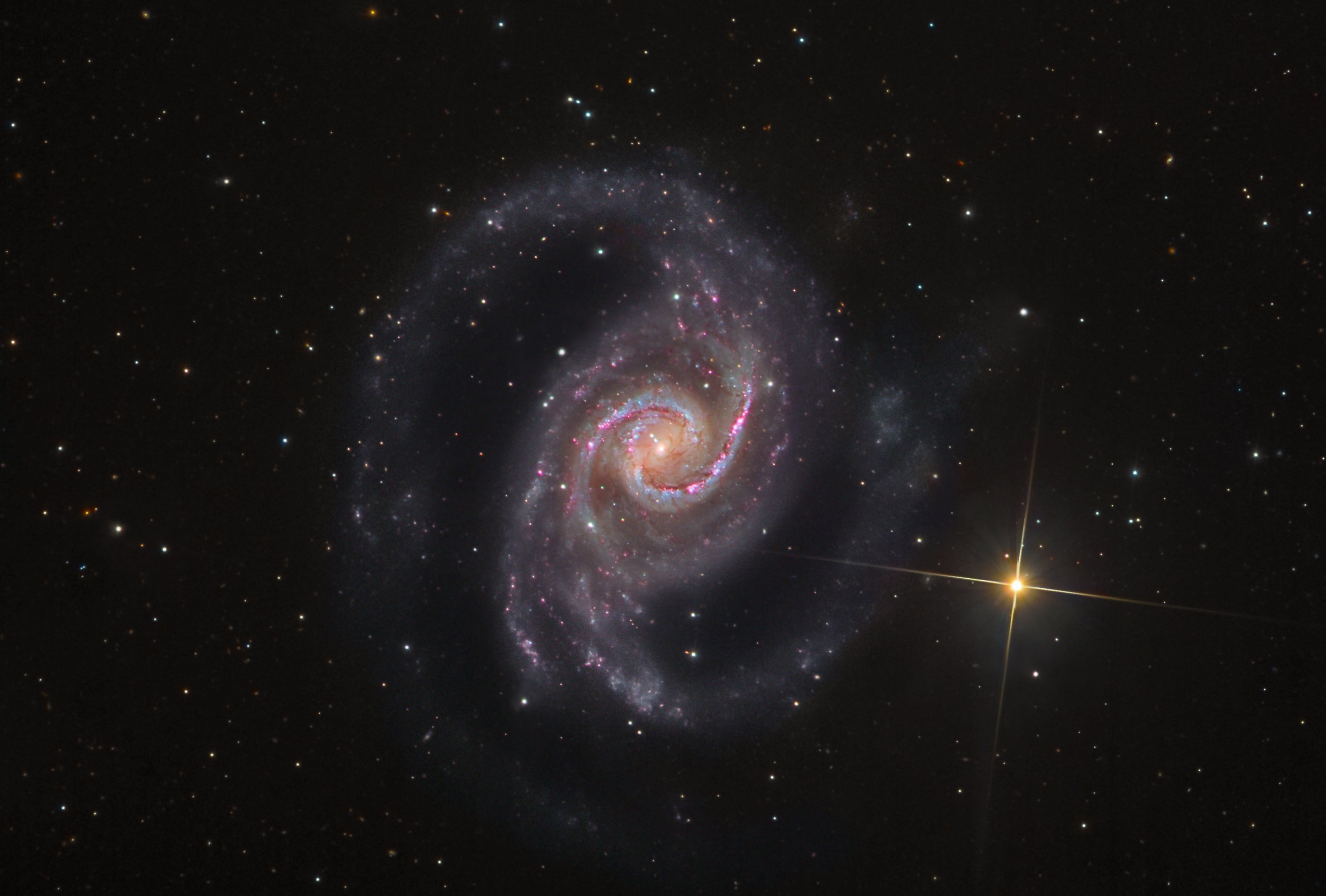 NGC 1566 (SSRO Cito, Chile)