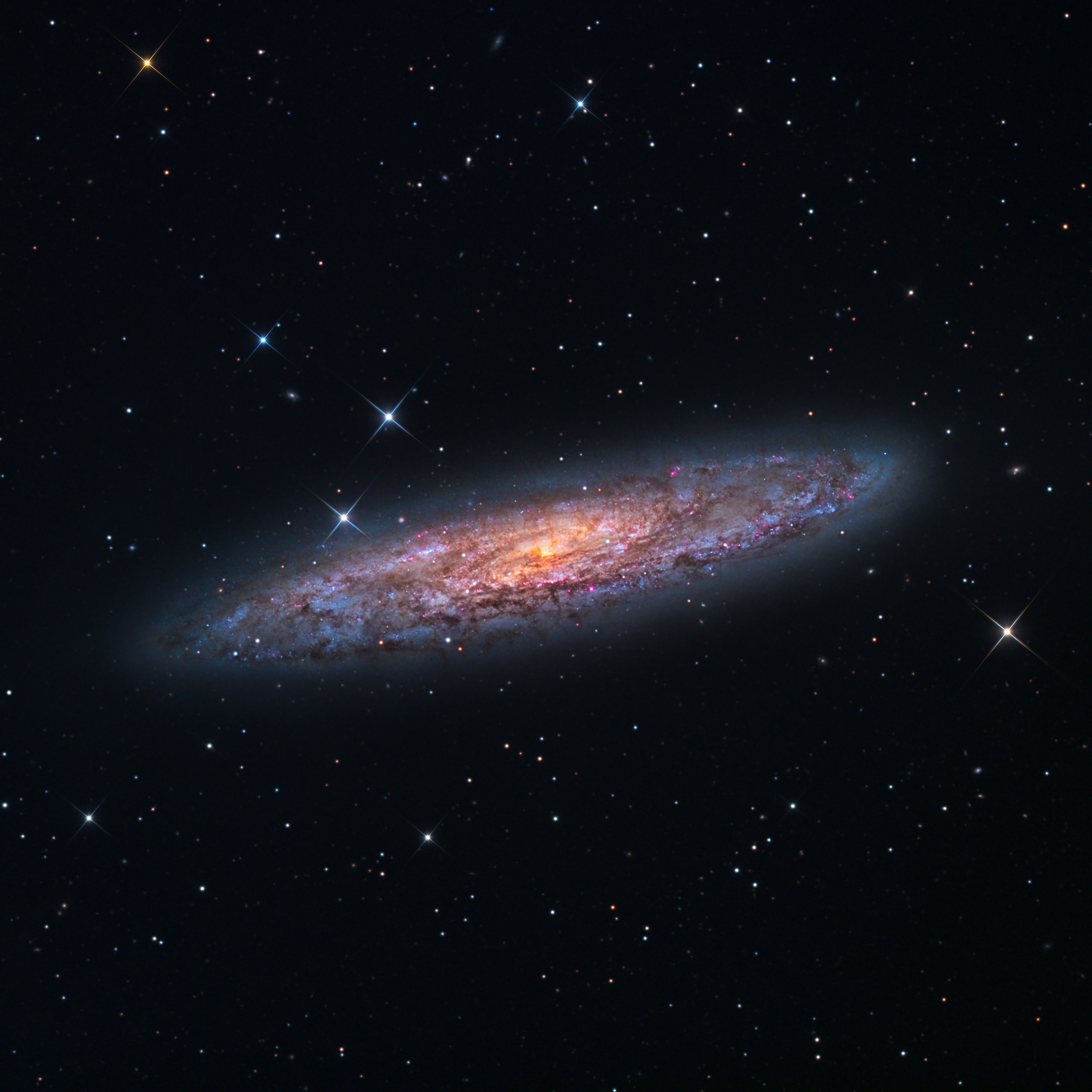 NGC 253 "Stellar Winds Observatory"-DSNM