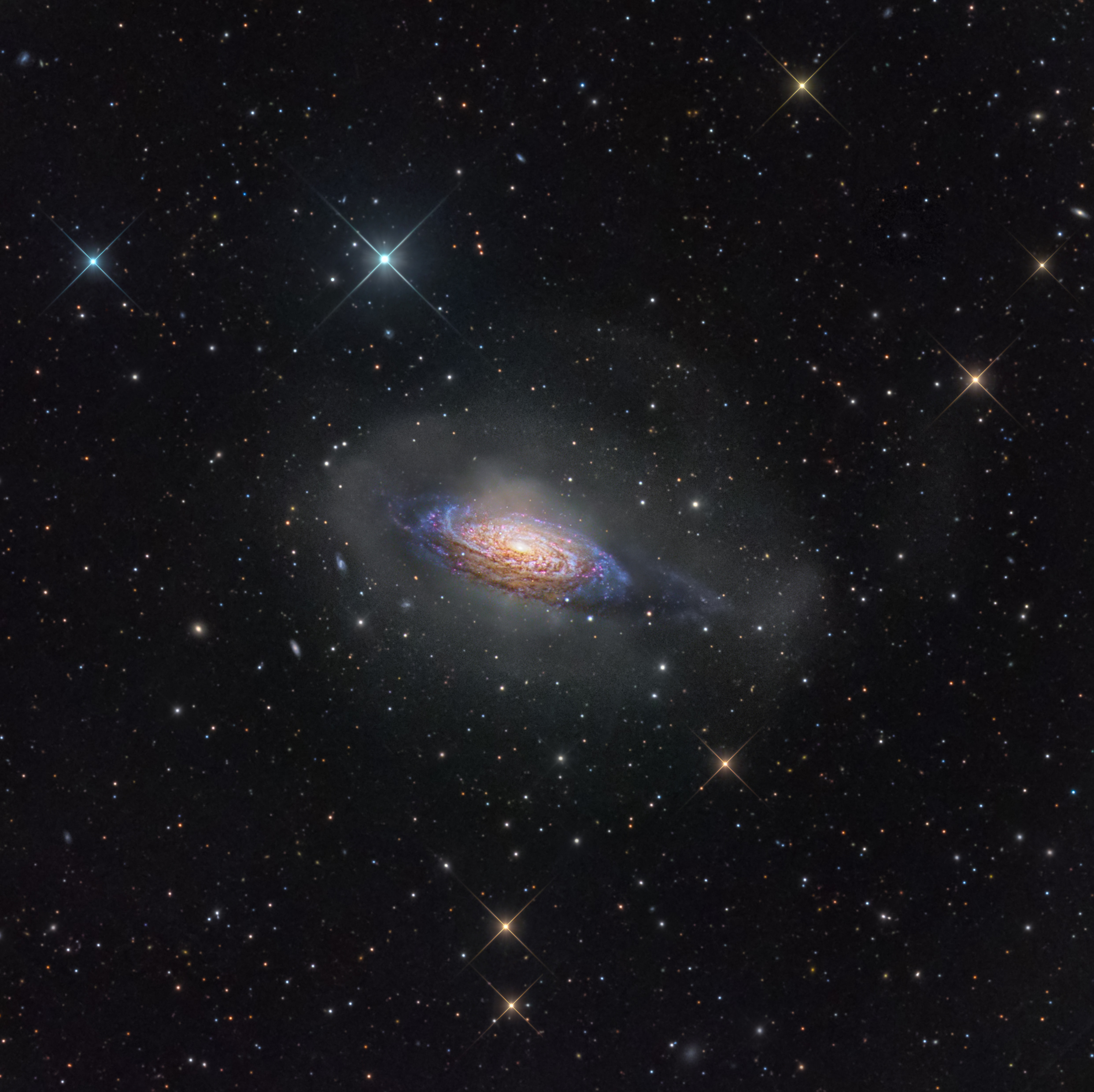 NGC 3521 (DGRO Rancho Hidalgo)