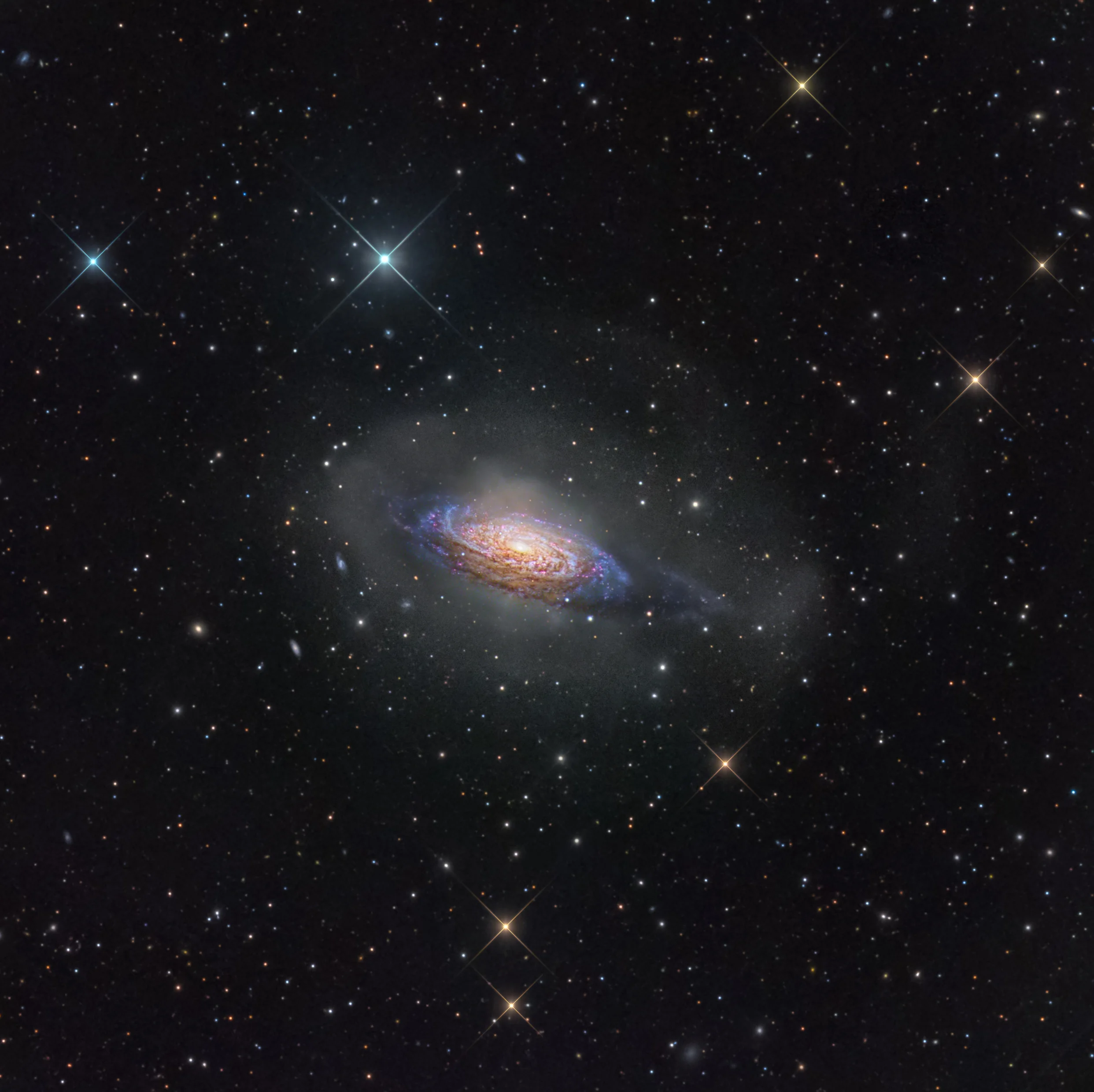 NGC 3521 (DGRO Rancho Hidalgo)