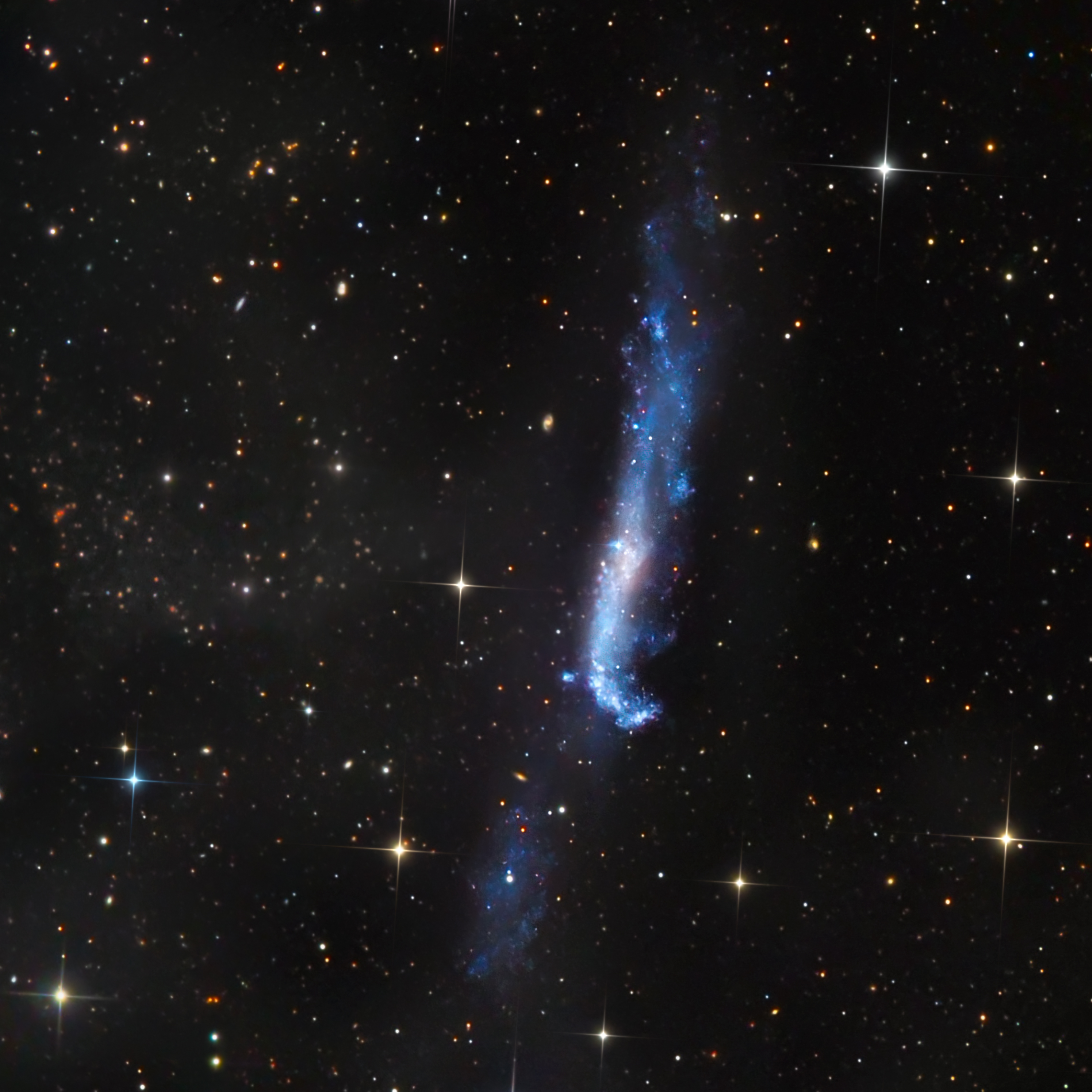 NGC 4656 (DGRO-Rancho Hidlago)