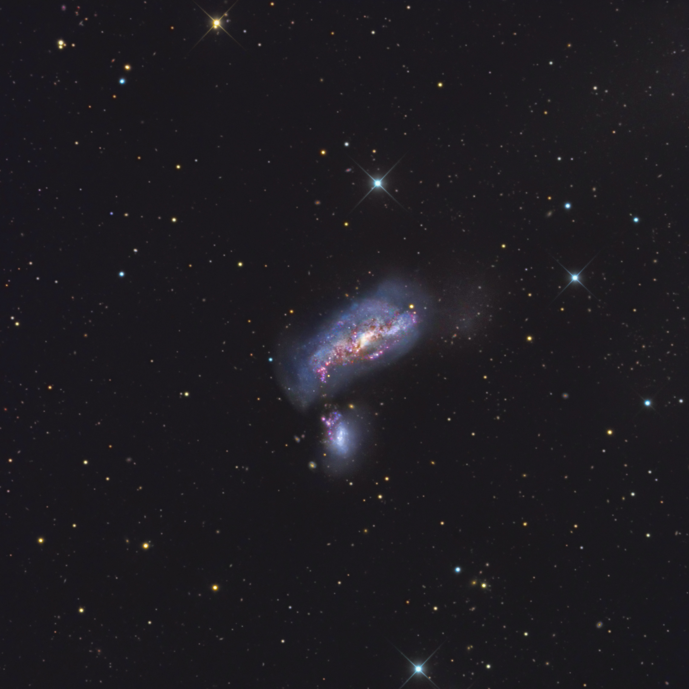 NGC 4490, Cocoon Galaxy