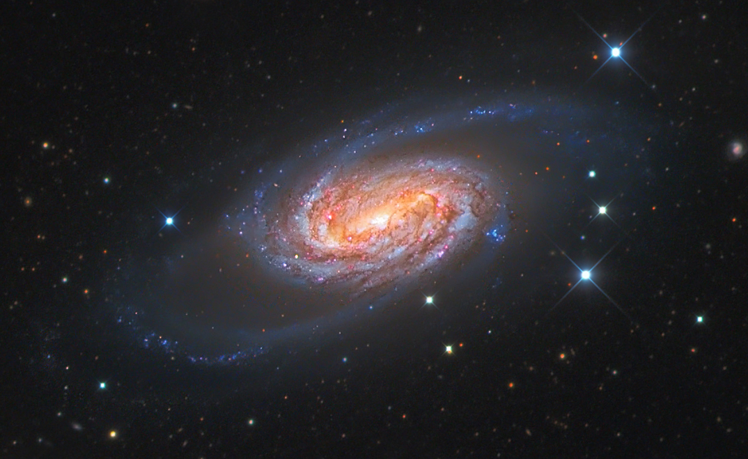 100%crop of NGC 2903