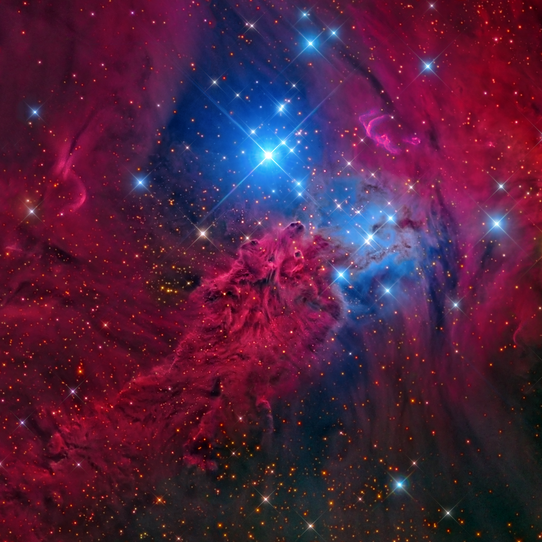 Fox Fur Nebula, NGC 2264