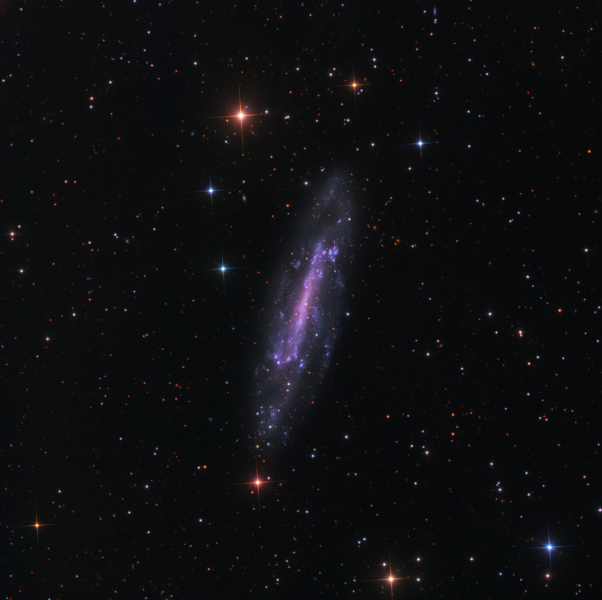 NGC 4236 
