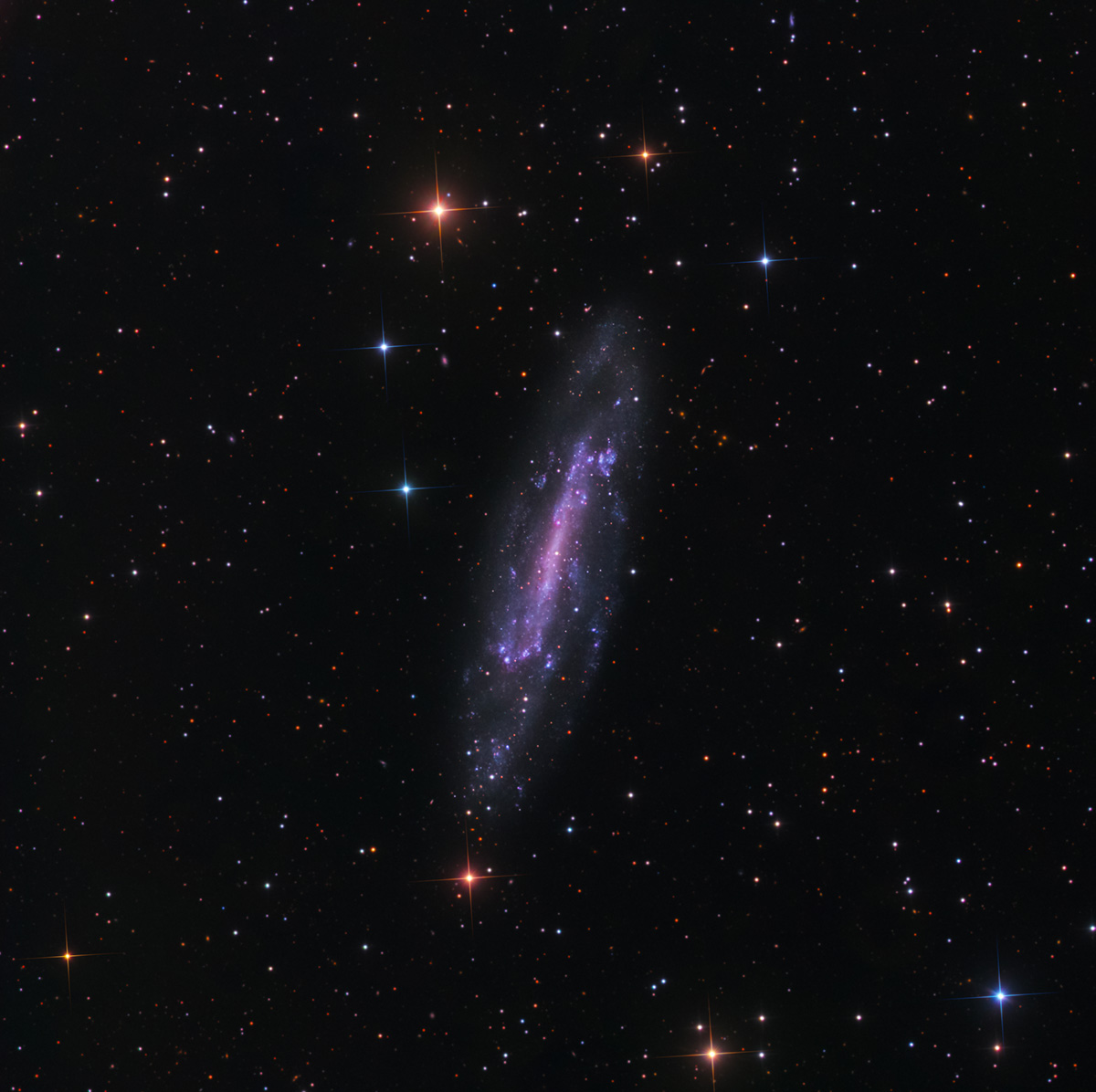 NGC 4236