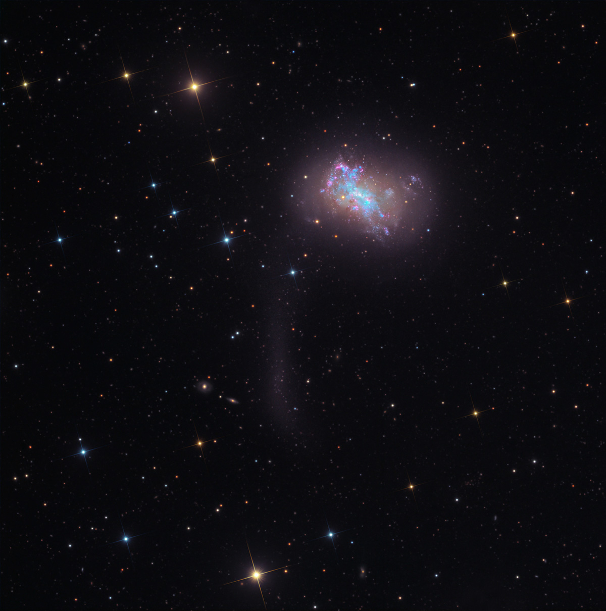 NGC 4449 in Canes Venatici