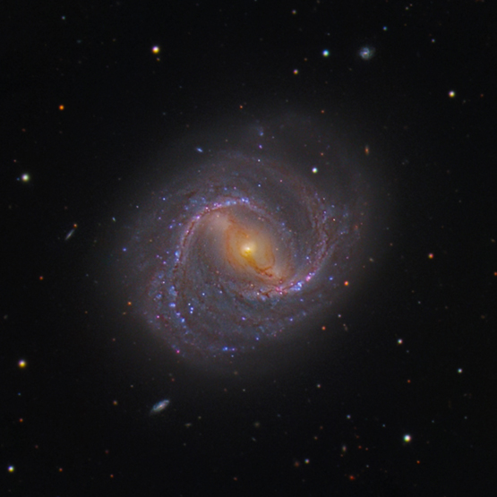 M91