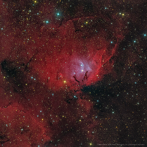 Tulip Nebula