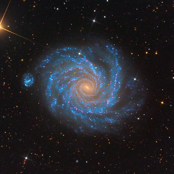 NGC 1232