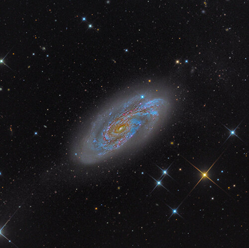NGC 908