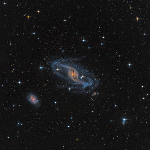 NGC3718 Thumb.jpg