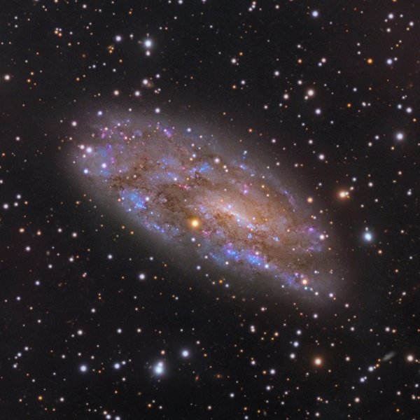 NGC 2427