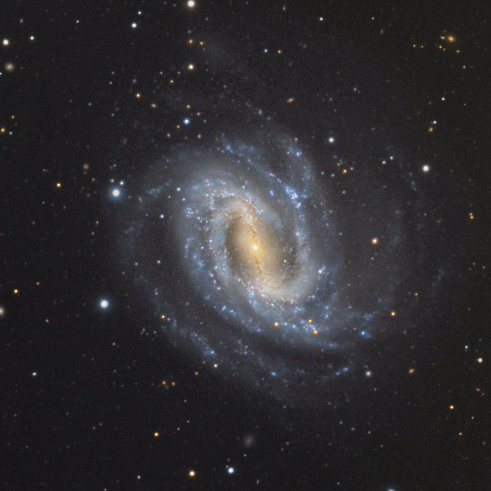 NGC 4123 & 4116