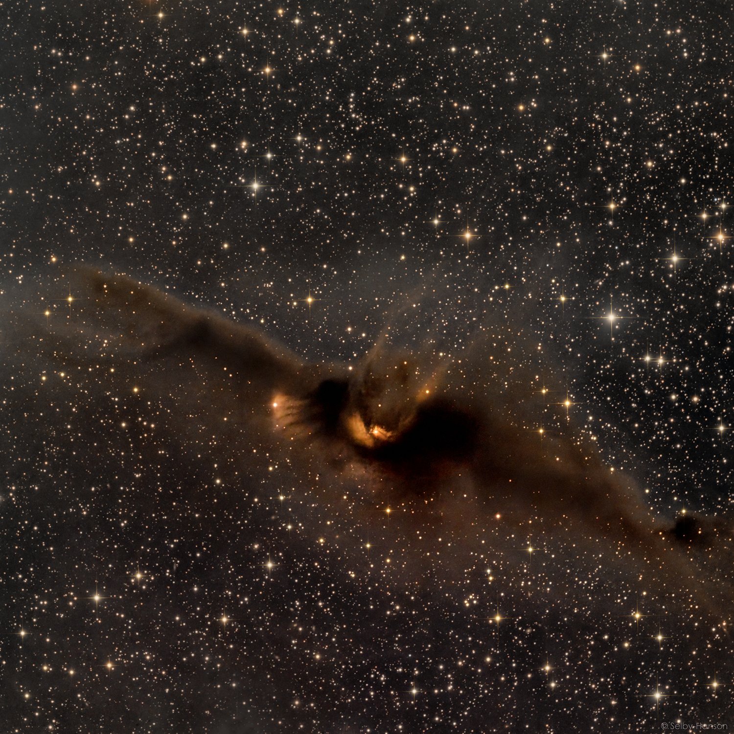 LDN 43 “The Cosmic Bat”