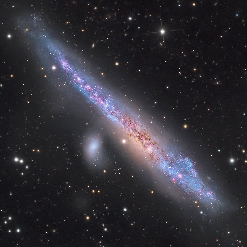 NGC 4631 (DGRO- Rancho Hildalgo)
