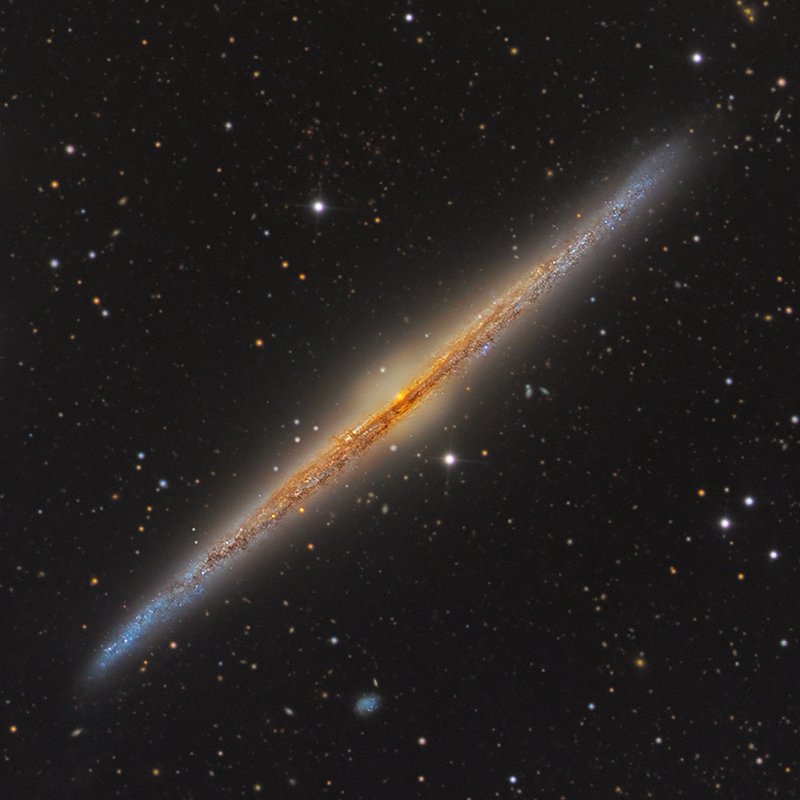 NGC 4565 (DRGO-Rancho Hidalgo)