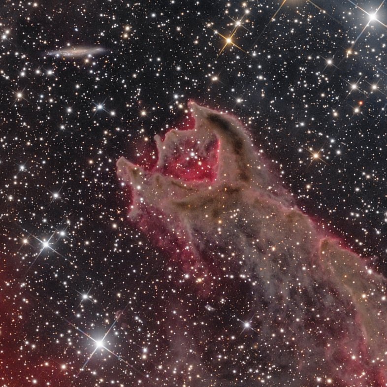 CG4 is a Cometary Globule