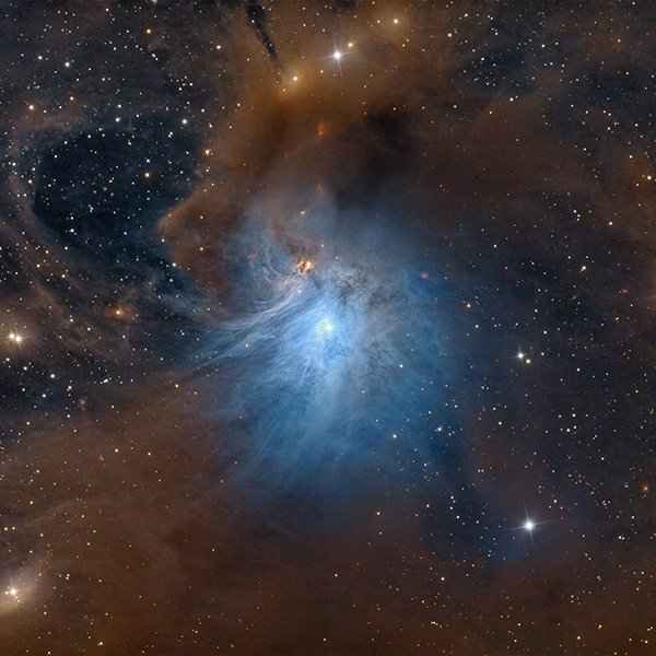 IC 2631