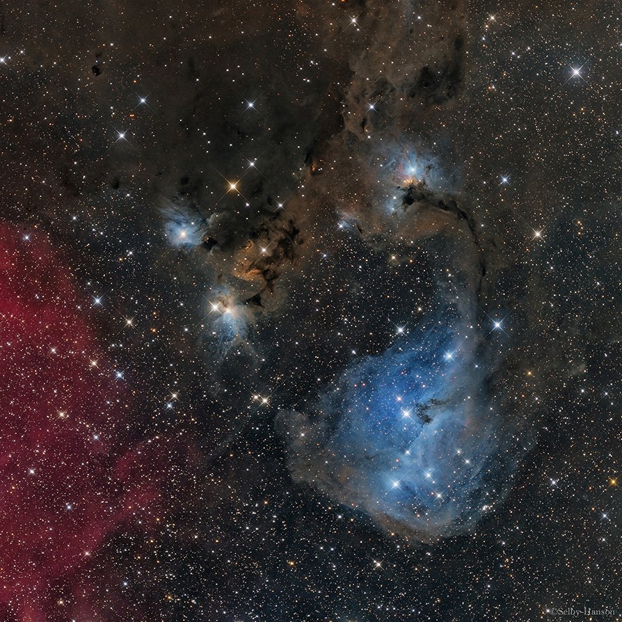 IC 447