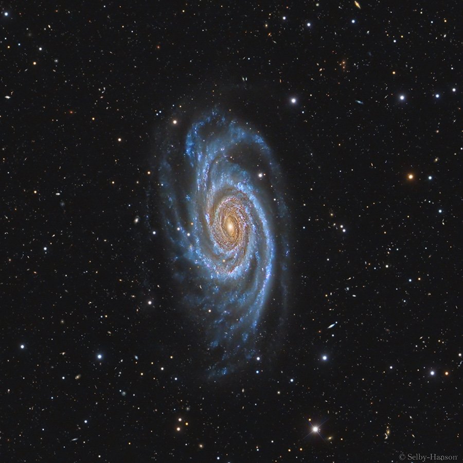 NGC 4939 LRGB rev Final CropCDK 1000 23 March 2023Thumb.jpg