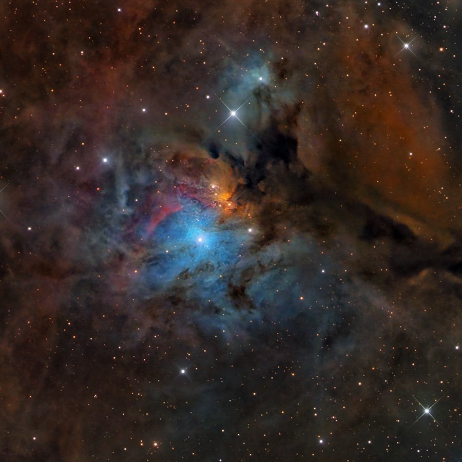 IC 446 - The Coyote Cloud