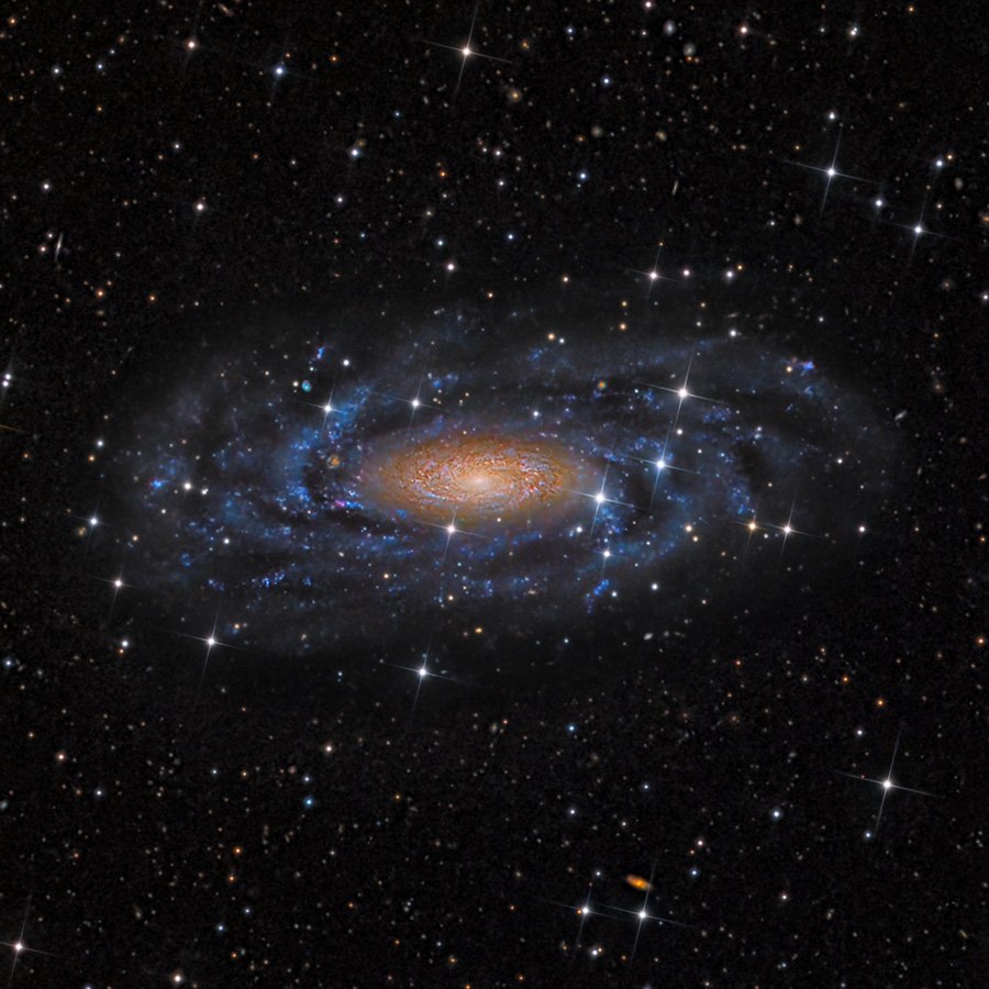 NGC 2090 in Columba