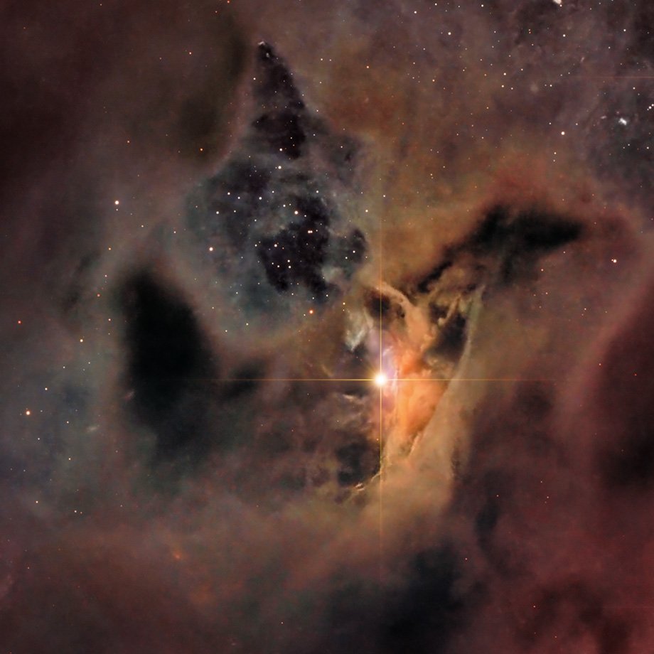 PP 81 Cometary Reflection Nebula
