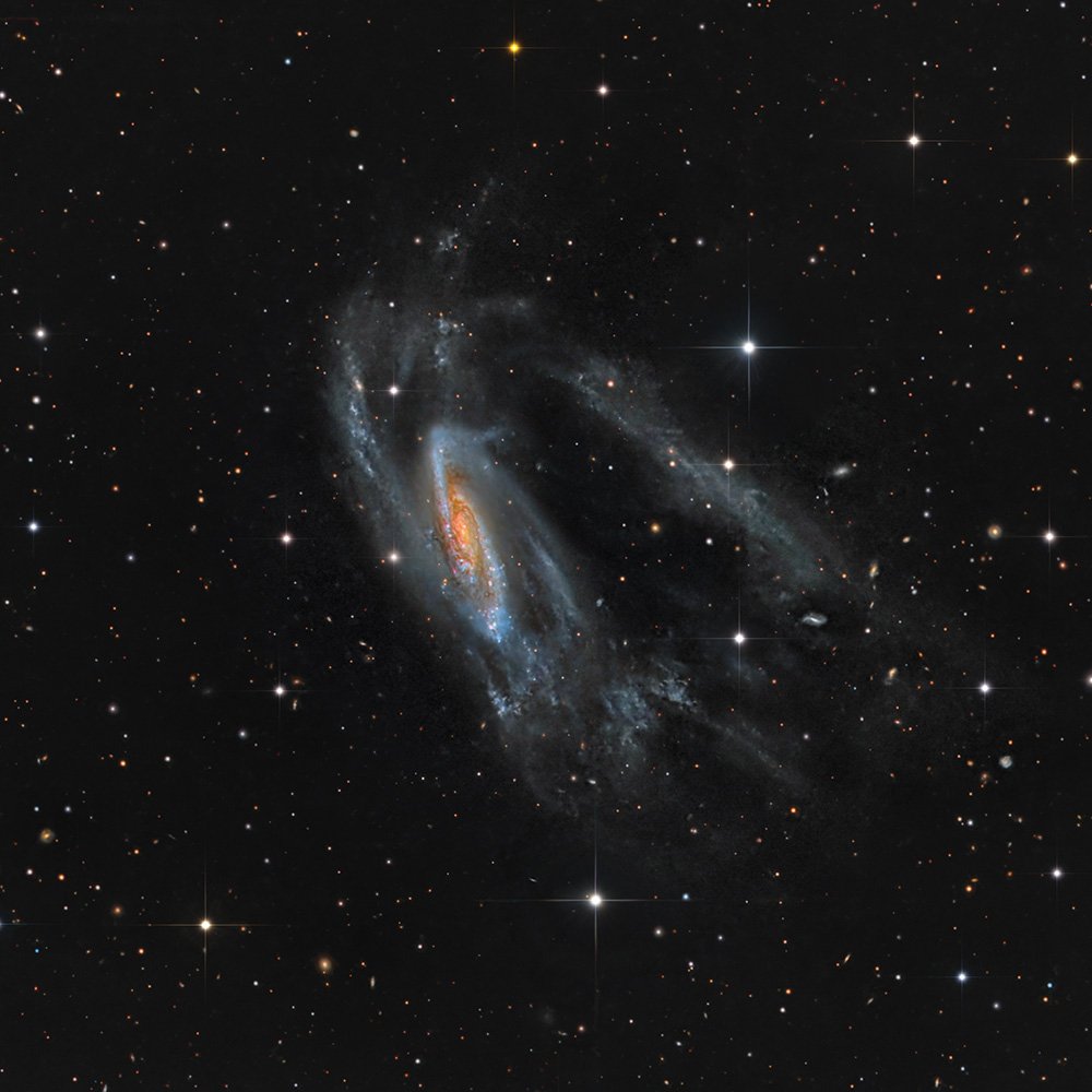 NGC 3981