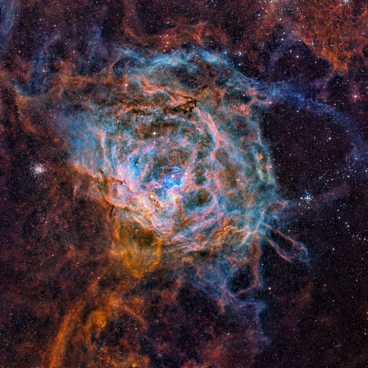 Thorny Blue Rose – In LMC