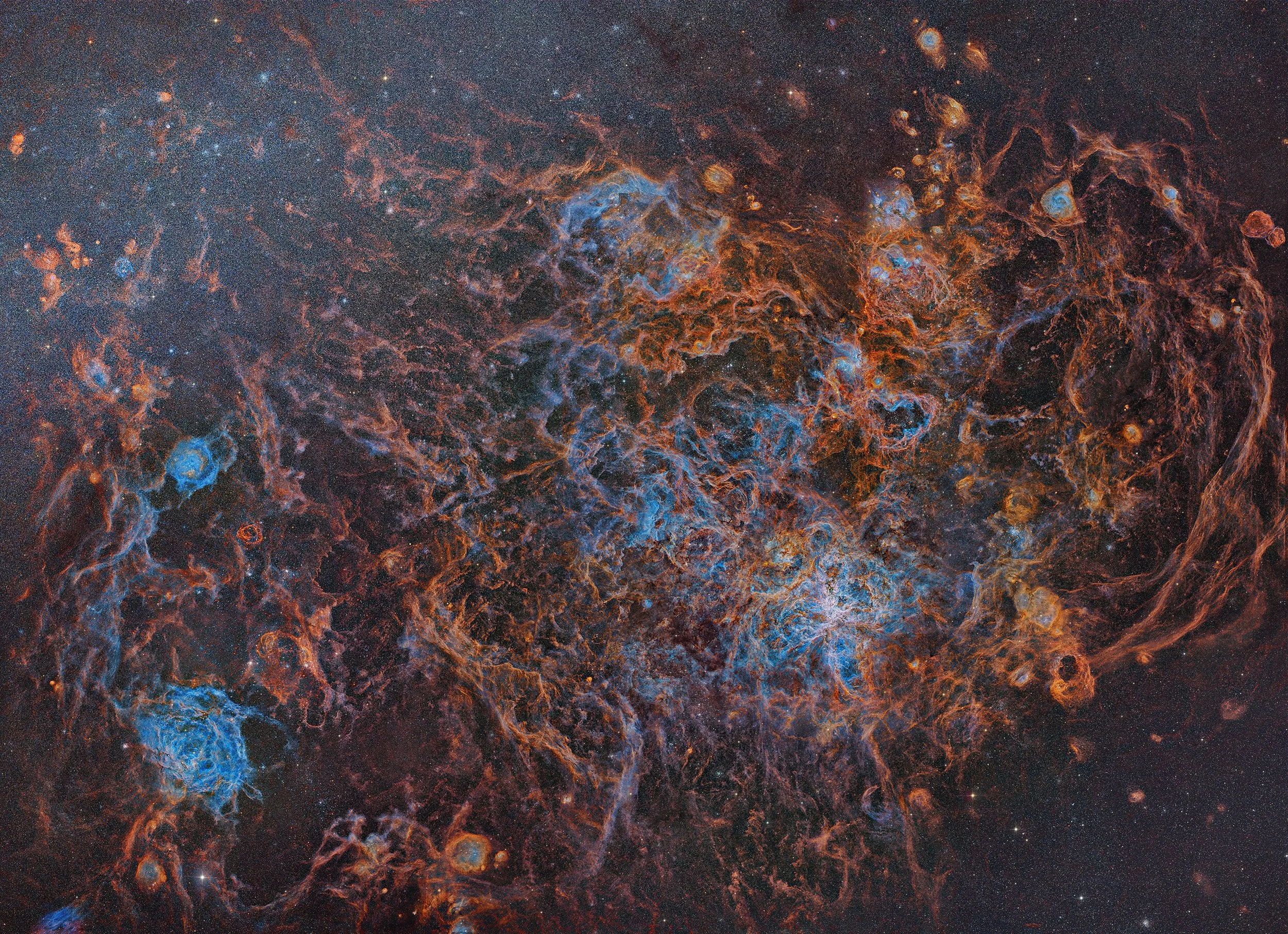 Tarantula Mosaic Ver 5-Thumb.jpg