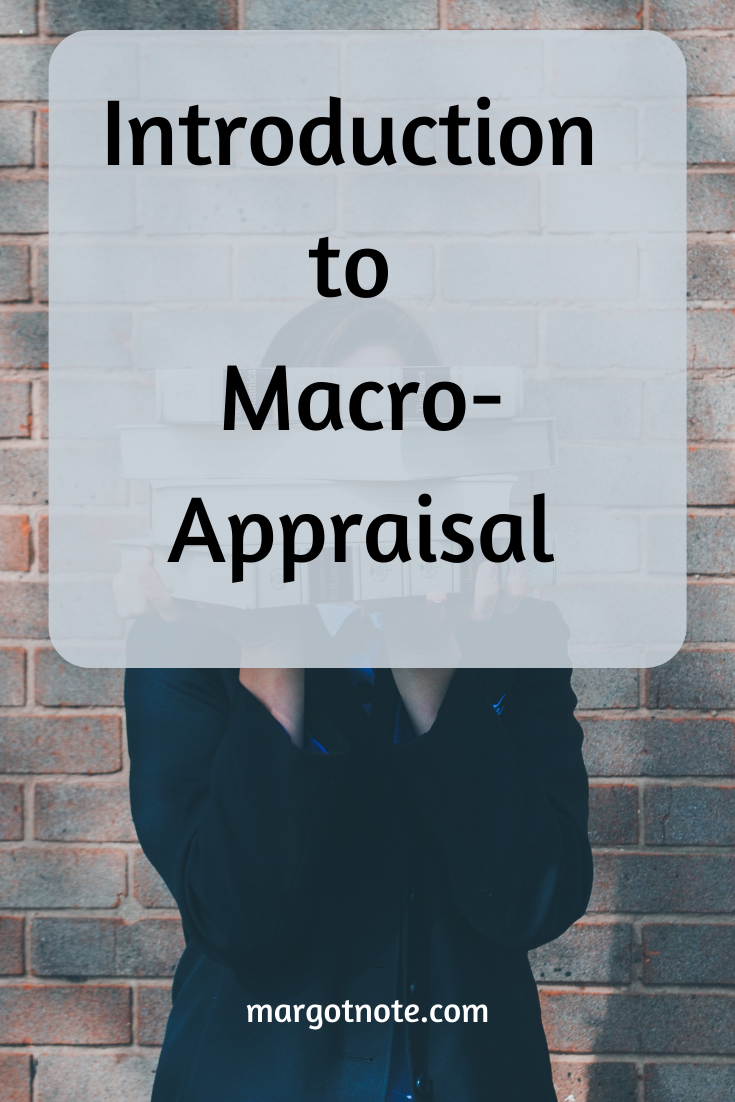 Introduction to Macro-Appraisal