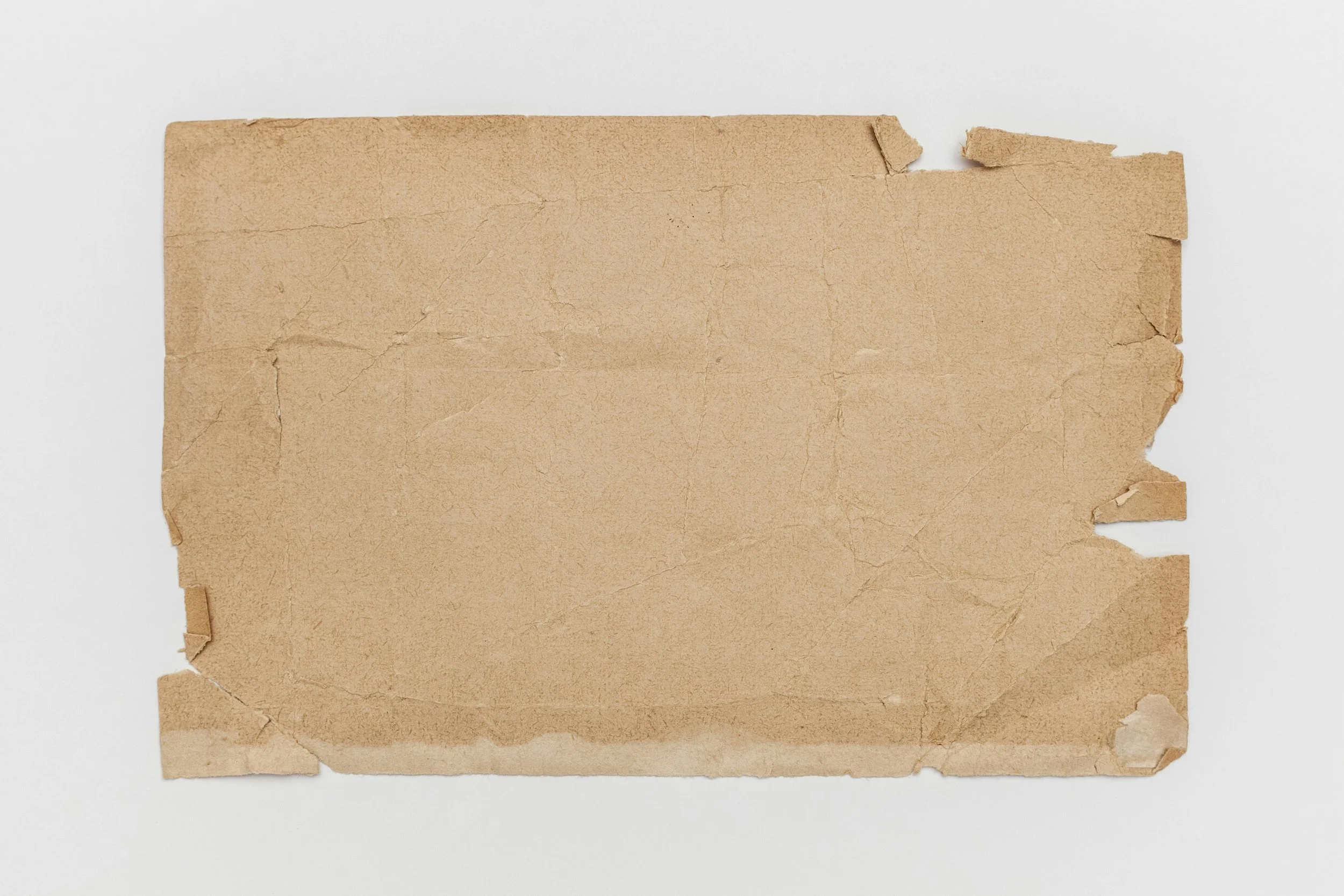Agents of Deterioration and Preservation Strategies